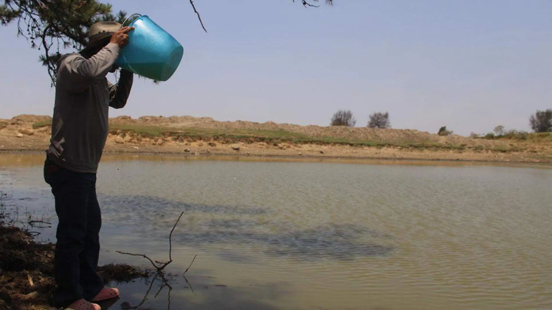 Beber agua del mismo sitio donde lo hace el ganado se ha convertido en la única opción que tienen los habitantes de la comunidad de San Isidro Tlalcostepetl